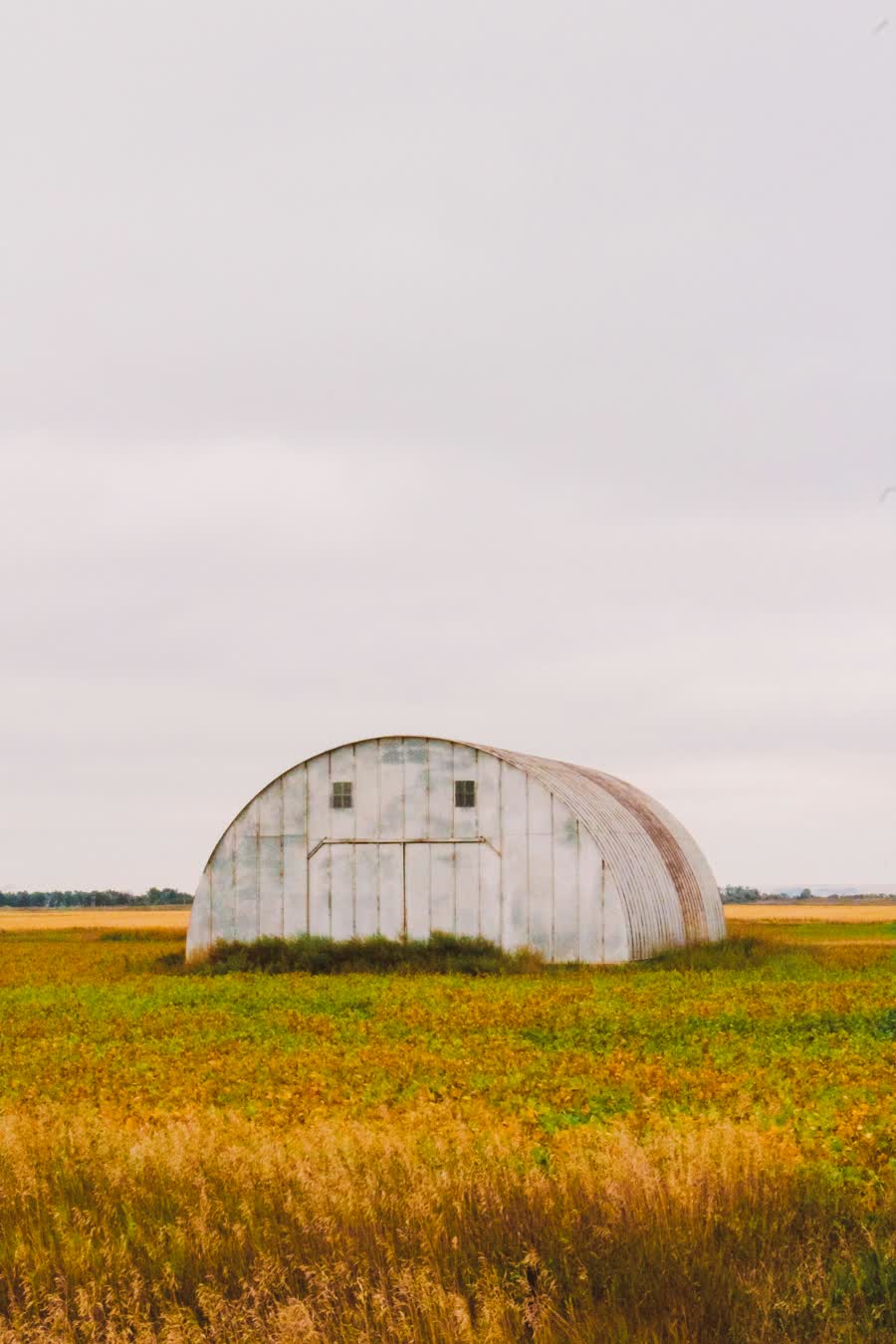 Quonset Painting